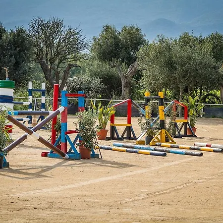 Lantgård Piccolo Ranch