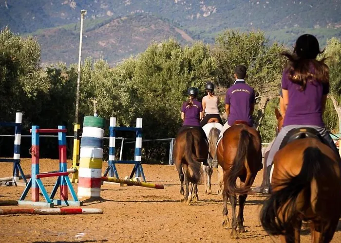 Lantgård Piccolo Ranch