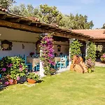 Piccolo Ranch * 普拉