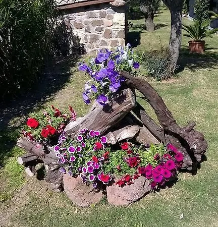 Piccolo Ranch *