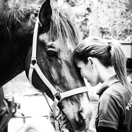 Фермерский дом Piccolo Ranch Вилла-Сан-Пьетро