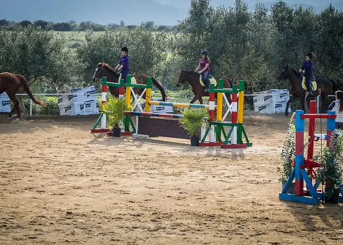 农家乐 Piccolo Ranch