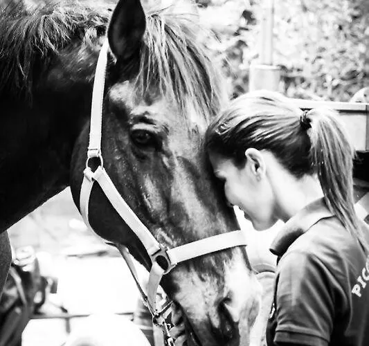 Alojamento de Turismo Rural Piccolo Ranch Pula